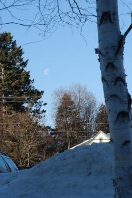 DSC_0973.jpg