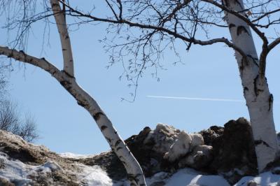 DSC_0974.jpg