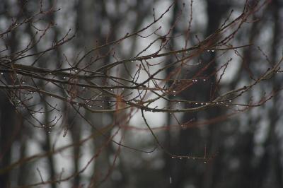 DSC_0984.jpg