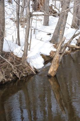DSC_0990.jpg