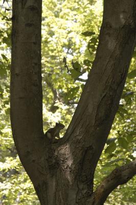 DSC_2319.jpg