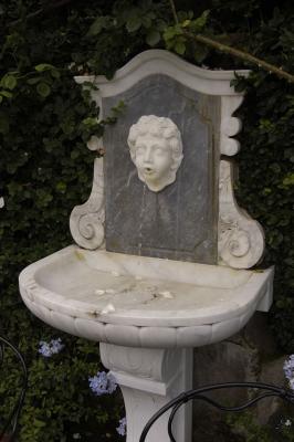 DSC_2331.jpg