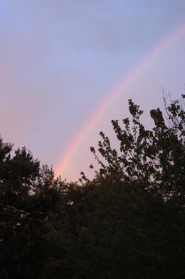 DSC_2814.jpg