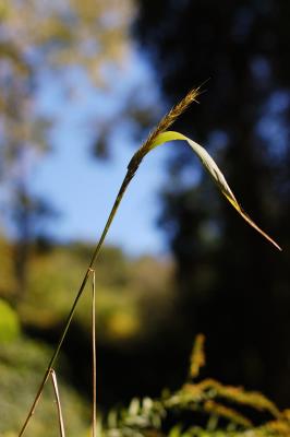 DSC_2825.jpg
