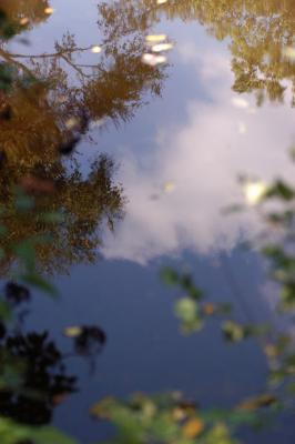 DSC_2800.jpg