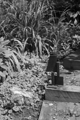 DSC_2447.jpg
