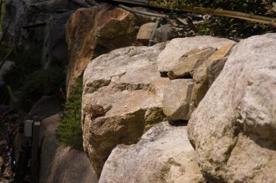 DSC_2456.jpg