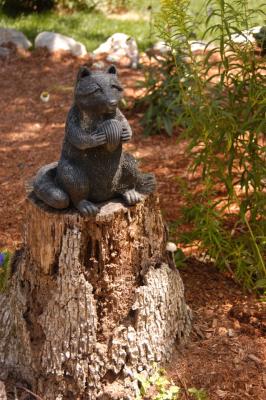 DSC_2457.jpg