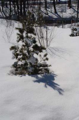 DSC_1031.jpg