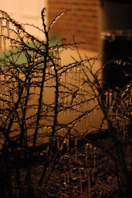 DSC_1088.jpg