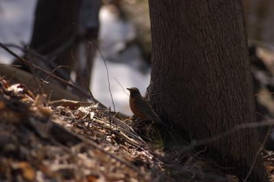 DSC_1217.jpg
