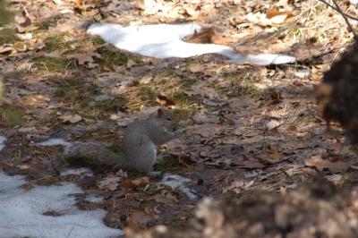 DSC_1233.jpg