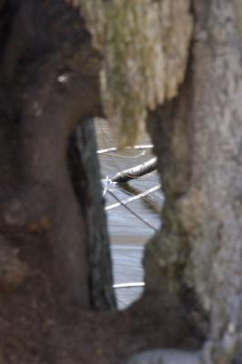 DSC_1362.jpg