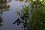 DSC_2313.jpg