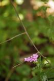 DSC_2802.jpg