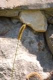DSC_2767.jpg