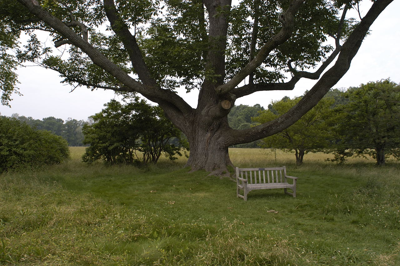 DSC_2334.jpg