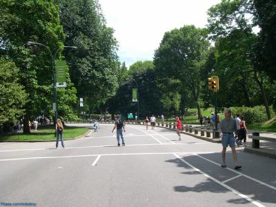 Central Park - Summer afternoon