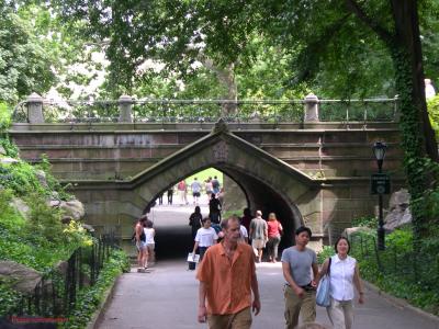Greywacke Bridge - Central Park