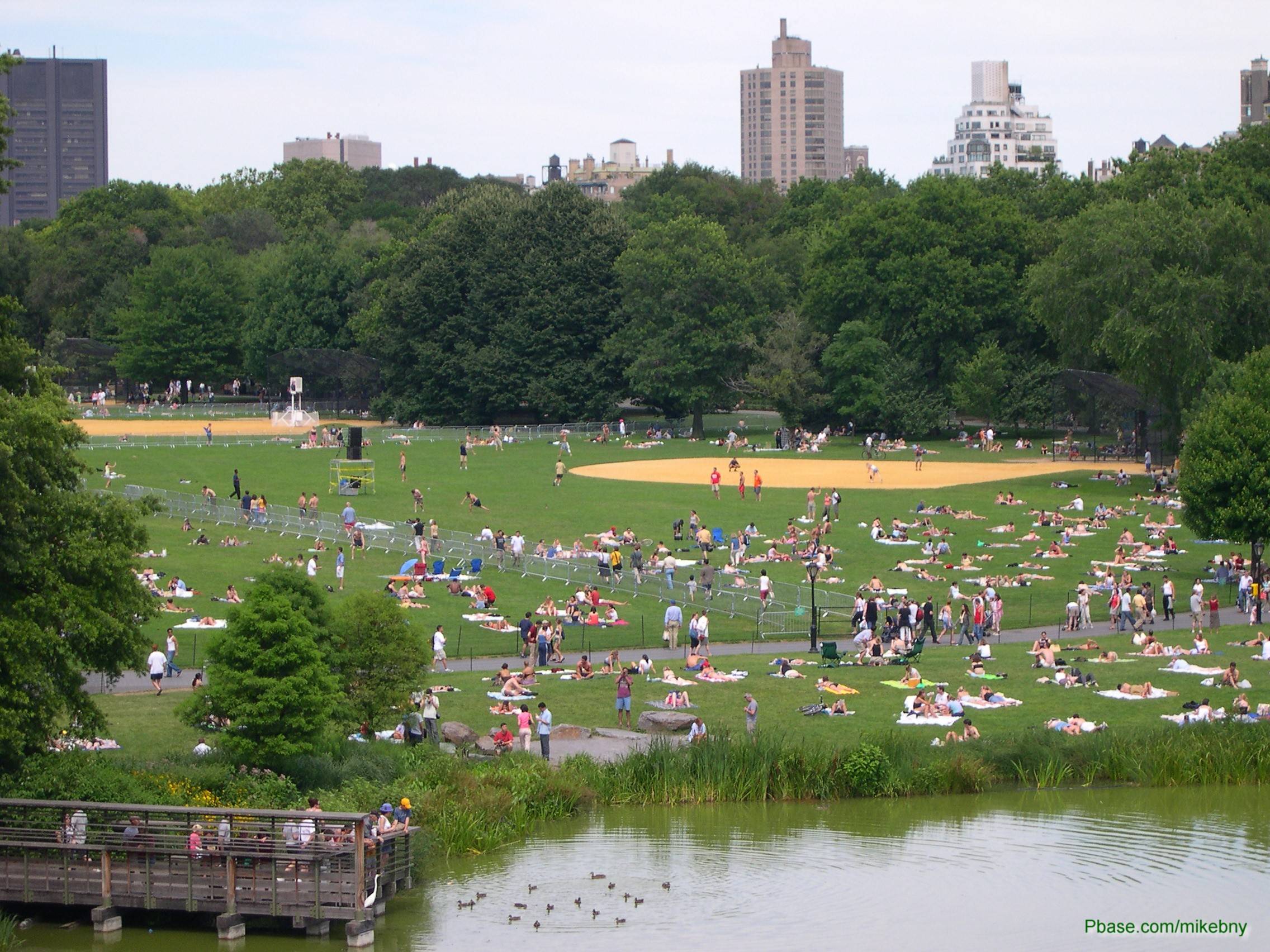 The Great Lawn - as seen from Belvedere Castle