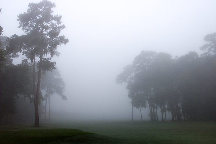 Foggy Morning