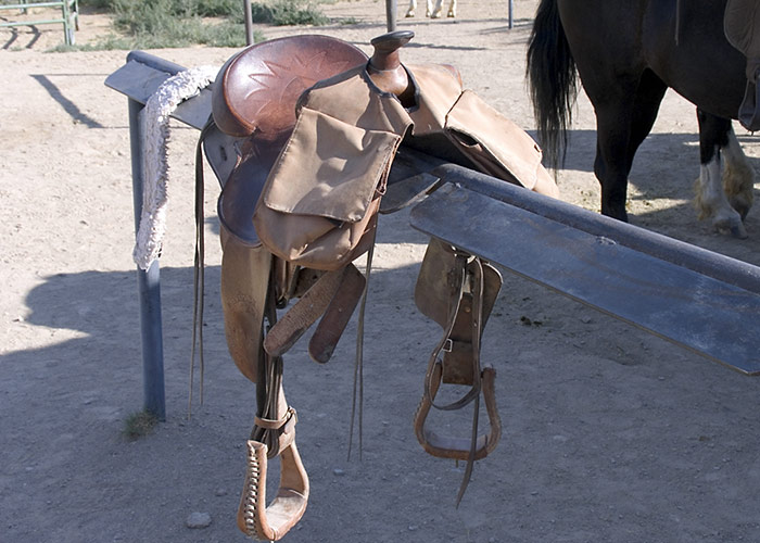 Saddle