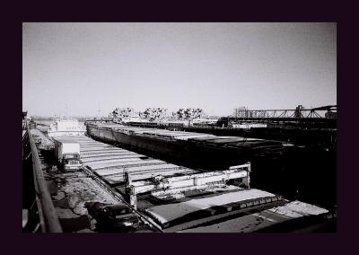Image115Large.jpg