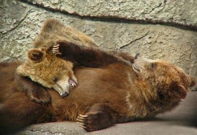 Tummy Bite