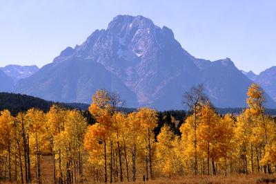 Autumn in the Tetons, Wyoming