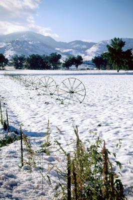 Colorado