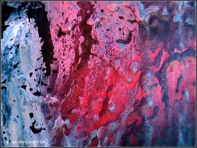 fishboys-walls-16.jpg