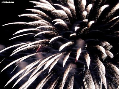 2335-white-fireworks.jpg