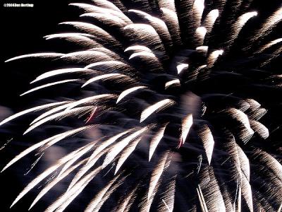 2335-white-fireworks.jpg