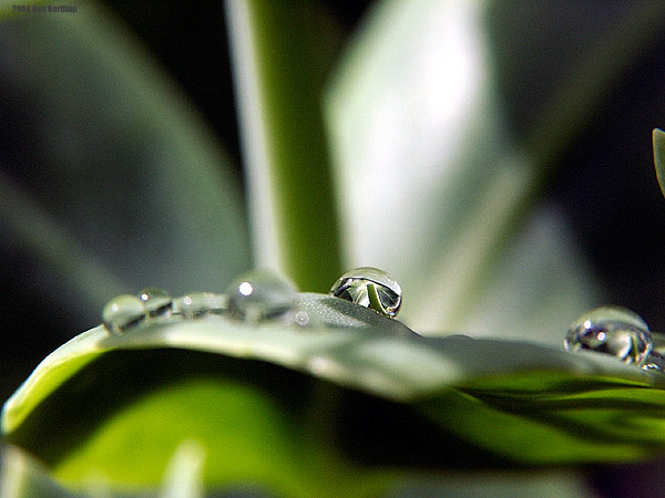 2014-beauty-of-rain.jpg