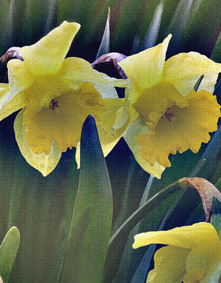 Flowers For Easter 