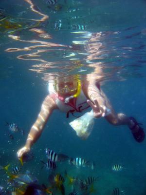 101-0117_IMG-fix-low.jpg
