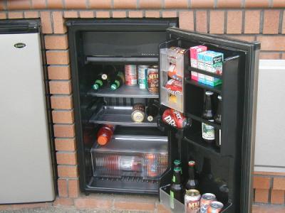 fridge with small freezer