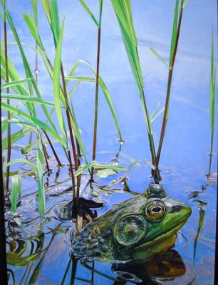 31. Bullfrog. 38 I/2 x 28 1/2