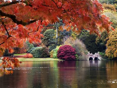 From under the leaves, Stourhead (1970)