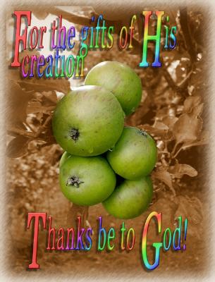 For the gifts of harvest