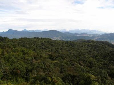 View of the Cameron Highlands...