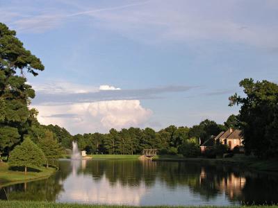 Lake in the Woods subdivision