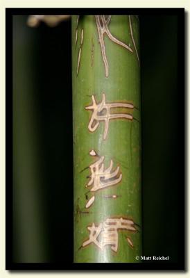 Bamboo writing