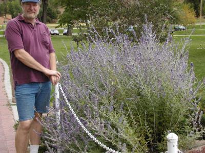 u34/mrtea630/medium/22386666.921039212003flowersbytheDuckpondwhereyoucanfeedthem2.jpg