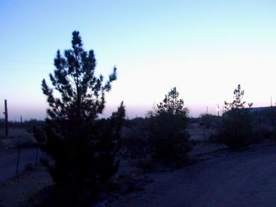 Twilight in the desert.jpg(137)