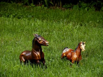 Beginning of horse collection3.jpg (2913)