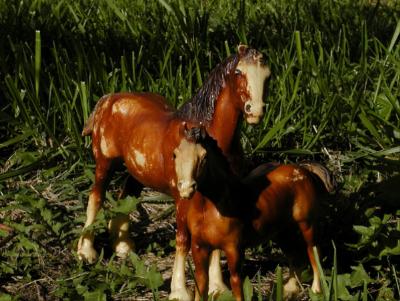 Mom  Foal3.jpg(498)