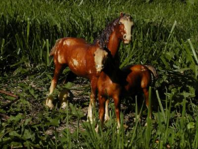 Mom  Foal4.jpg(490)