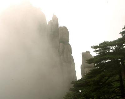 Rock in the mist(3)