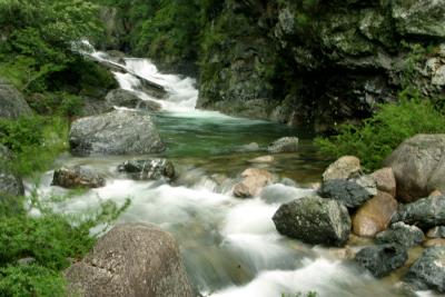 A stream flows through
